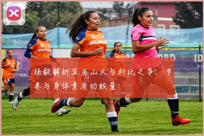 杨毅解析亚历山大与科比之争：节奏与身体素质的较量