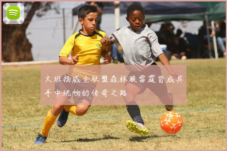 文班扬威全联盟森林狼雷霆皆成其手中玩物的传奇之路